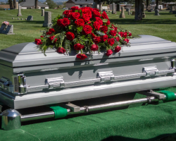 PREMIUM LIFE ADVISERS (4)